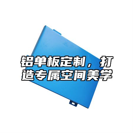 铝单板定制，打造专属空间美学