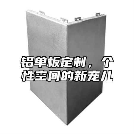 铝单板定制，个性空间的新宠儿