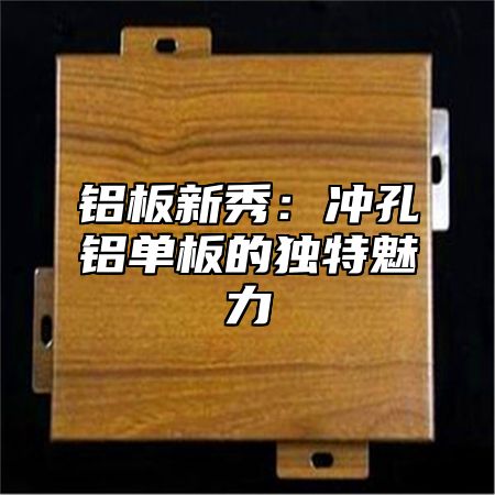 铝板新秀：冲孔铝单板的独特魅力