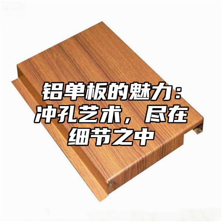 铝单板的魅力：冲孔艺术，尽在细节之中