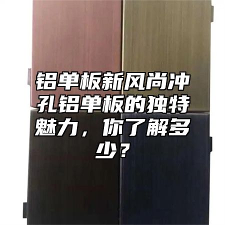 铝单板新风尚冲孔铝单板的独特魅力，你了解多少？