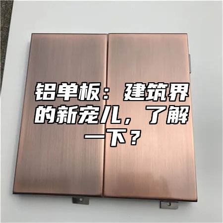 铝单板：建筑界的新宠儿，了解一下？