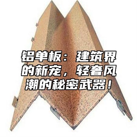 铝单板：建筑界的新宠，轻奢风潮的秘密武器！