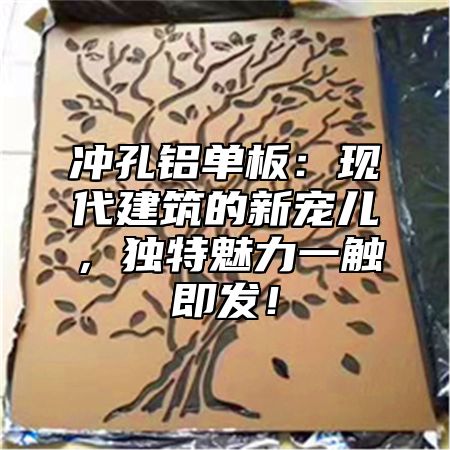 冲孔铝单板：现代建筑的新宠儿，独特魅力一触即发！