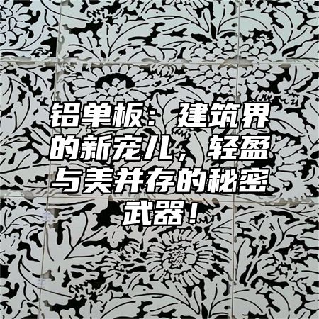 铝单板：建筑界的新宠儿，轻盈与美并存的秘密武器！