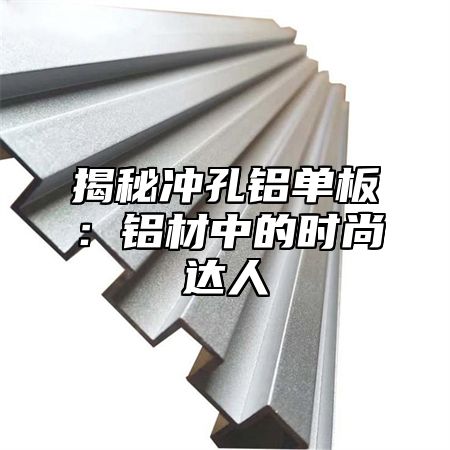揭秘冲孔铝单板：铝材中的时尚达人