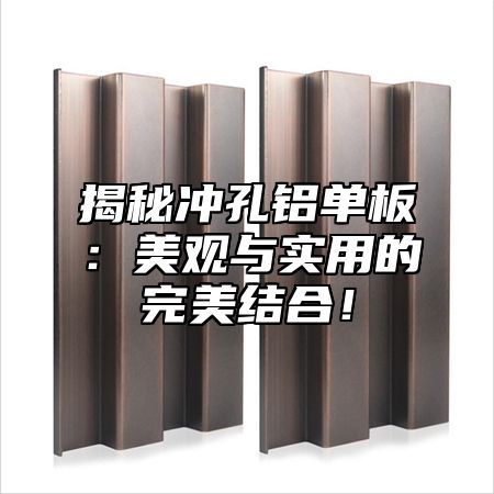 揭秘冲孔铝单板：美观与实用的完美结合！